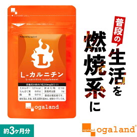 燃焼系 ダイエットサプリ L-カルニチン（約3ヶ月分） ダイエットサプリ 口コミ 評判 ダイエット カルニチン サプリメント BCAA EAA アミノ酸 効率よく 毎日を 燃焼系 に 男性 女性 ダイエット で変わりづらい方に 低価格 送料無料 オーガランド