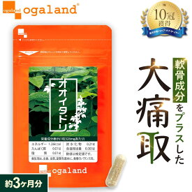 オオイタドリ（約3ヶ月分） サプリメント大痛取 ヒアルロン酸 レスベラトロール 送料無料 サプリメント サプリ 運動時の違和感に！ 若々しく グルコサミンとの相性◎ogaland オーガランド 健康 サプリ 緑イ貝 飲みやすい