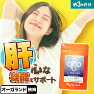 L-オルニチン（約3ヶ月分） オルニチン サプリ 効果 効能 男性・女性にもおすすめ しじみ 送料無料 サプ…