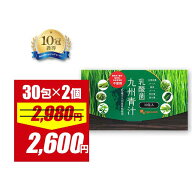 【3/13 0:00スタート！期間限定12％OFF】青汁 乳酸菌 （30包・2個セット） 青汁 乳酸菌 野菜不足 青汁 粉…