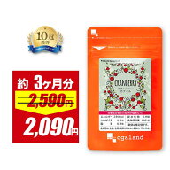 【5/10限定SALE】クランベリー カプセル（約3ヶ月分）毎日のお悩みに ビタミンC ポリフェノール 送料無料…