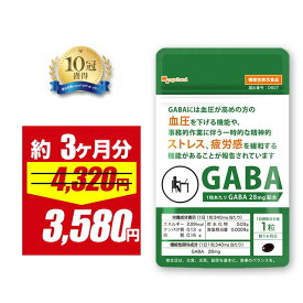 【5/19 朝10:00〜17%OFF】【機能性表示食品】GABA（約3ヶ月分）血圧 サプリ GABA ギャバ 配合 血圧サプリメント リフレッシュ 血圧 ストレス 緩和 疲労 感 軽減 カカオ 高麗人参 亜麻仁油 イワシ抽出ペプチド セイヨウオトギリソウ ポイント消化 ポイント消費 送料無料