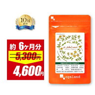 【4/12 朝10:00〜13%OFF】GABA サプリ セントジョーンズワート（約6ヶ月分）送料無料 健康 サプリ サプリ…