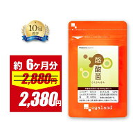 【17％OFFセール!!】【テレビで話題】 酪酸菌（約6ヶ月分） サプリオリゴ糖 乳酸菌 ビフィズス菌 との相…