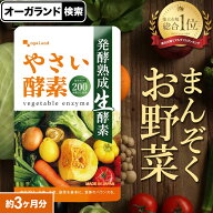 やさい酵素（約3ヶ月分） 酵素 サプリ サプリメント 野菜不足 野菜酵素 ダイエットサプリ 野菜不足 送料…