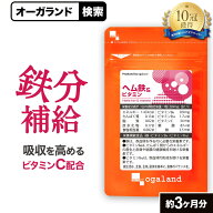 鉄分 サプリ ヘム鉄 & ビタミン（約3ヶ月分） サプリ 鉄 鉄分 ヘム鉄 葉酸 送料無料 サプリメント 子供 …