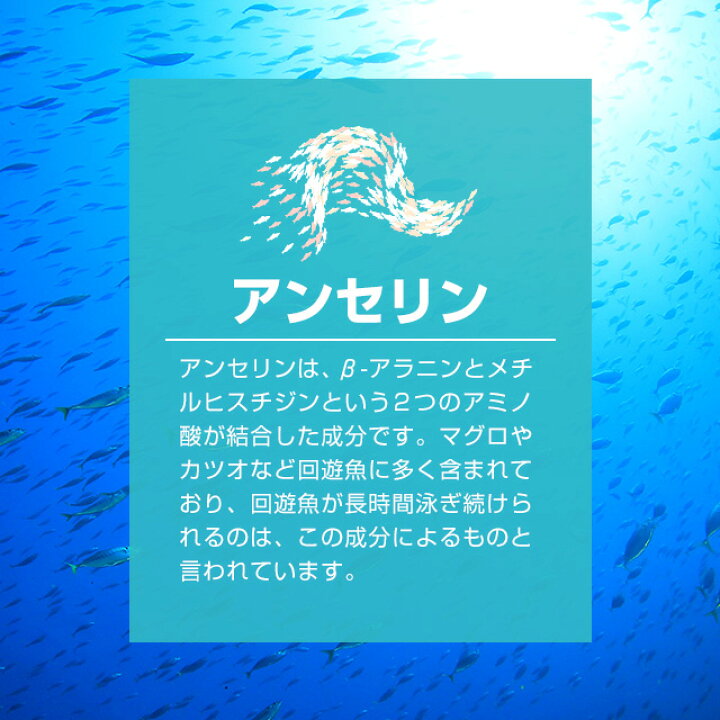楽天市場】アンセリン カプセル(約3ヶ月分)プリン体 が気になる方に 送料無料 お酒 クエン酸 ナイアシン パントテン酸カルシウム サプリメント サプリ _JH : サプリ専門店 オーガランド 楽天市場】アンセリン カプセル(約3ヶ月分)プリン体 が気になる方に 送料無料 お酒 クエン酸 ナイアシン パントテン酸カルシウム サプリメント サプリ _JH : サプリ専門店 オーガランド