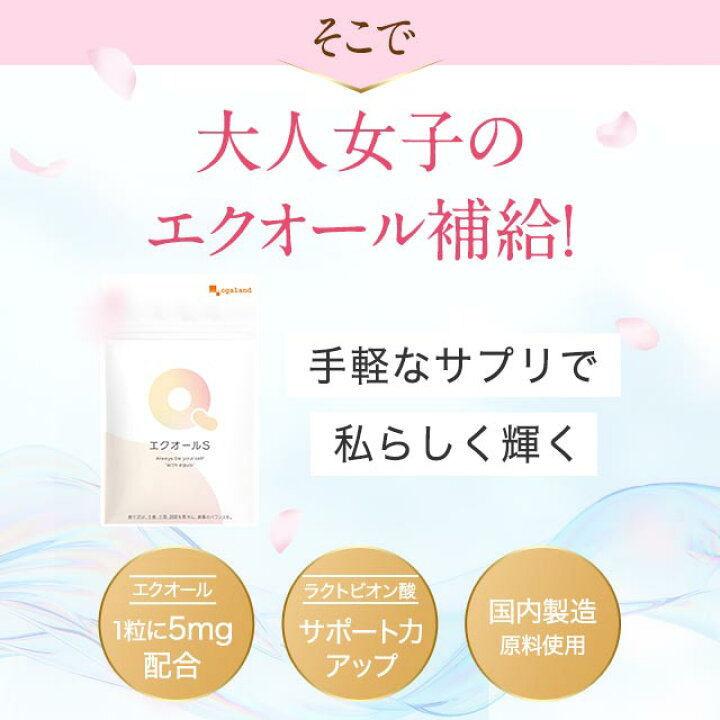 楽天市場】【4/12 朝10:00〜期間限定SALE】【テレビで話題 