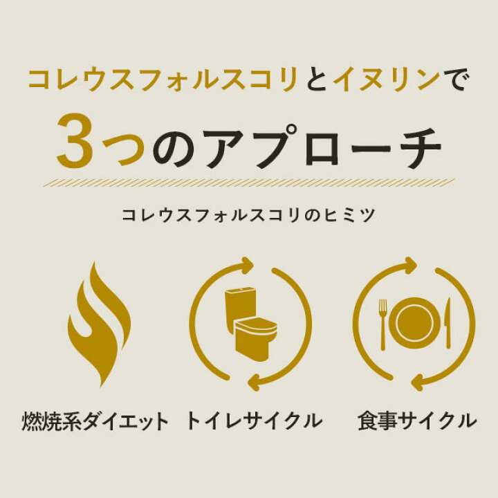 3袋セット フォースコリー コレウスフォルスコリ 100カプセル 3袋計mg 3ヶ月 ダイエット 1粒500mg 100日分 10日 サプリ 100 1袋フォルスコリmg
