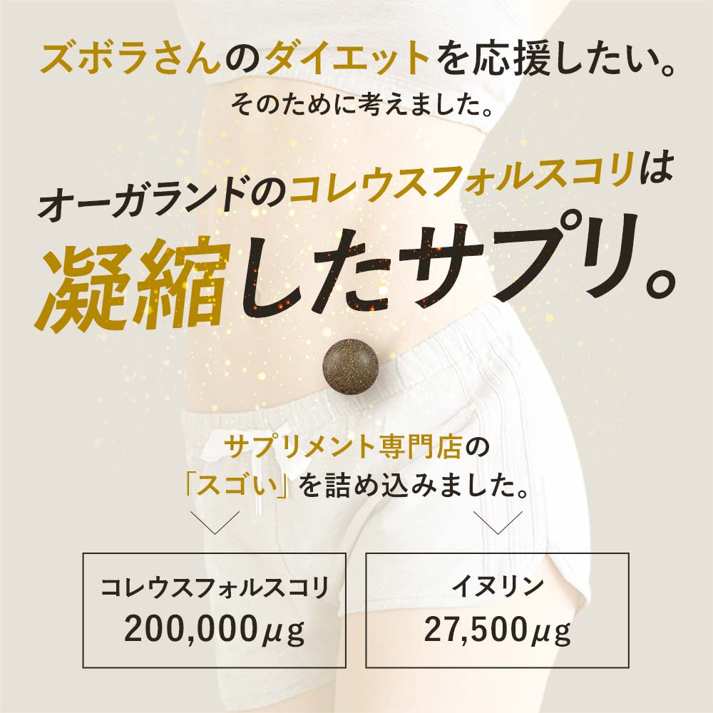 コレウスフォルスコリ（約1ヶ月分）送料無料ダイエットサプリサプリメントイヌリン食物繊維フォルスコリ燃焼系ダイエットサプリオーガランドフォルスコリン_JD