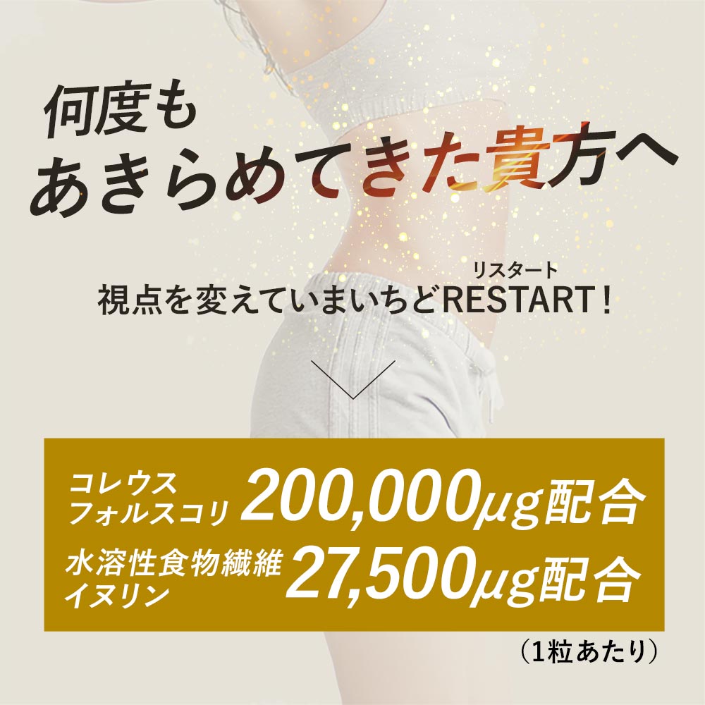 コレウスフォルスコリ（約1ヶ月分）送料無料ダイエットサプリサプリメントイヌリン食物繊維フォルスコリ燃焼系ダイエットサプリオーガランドフォルスコリン_JD