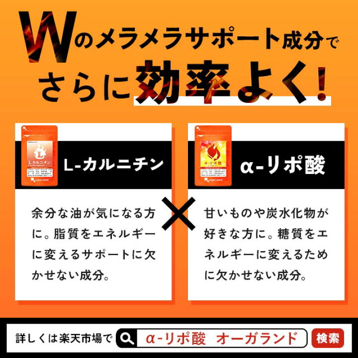 新作アイテム毎日更新 L-carnitineα L-カルニチンα お徳用 ダイエット サプリ サプリメント L-カルニチン Lカルニチン  ダイエットサプリ ダイエットサプリメント 健康サプリ ランキング 人気 売れ筋