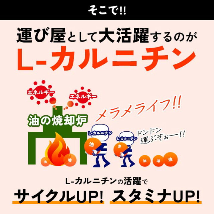 楽天市場】【リニューアル】L-カルニチン（約6ヶ月分）送料無料 サプリ 