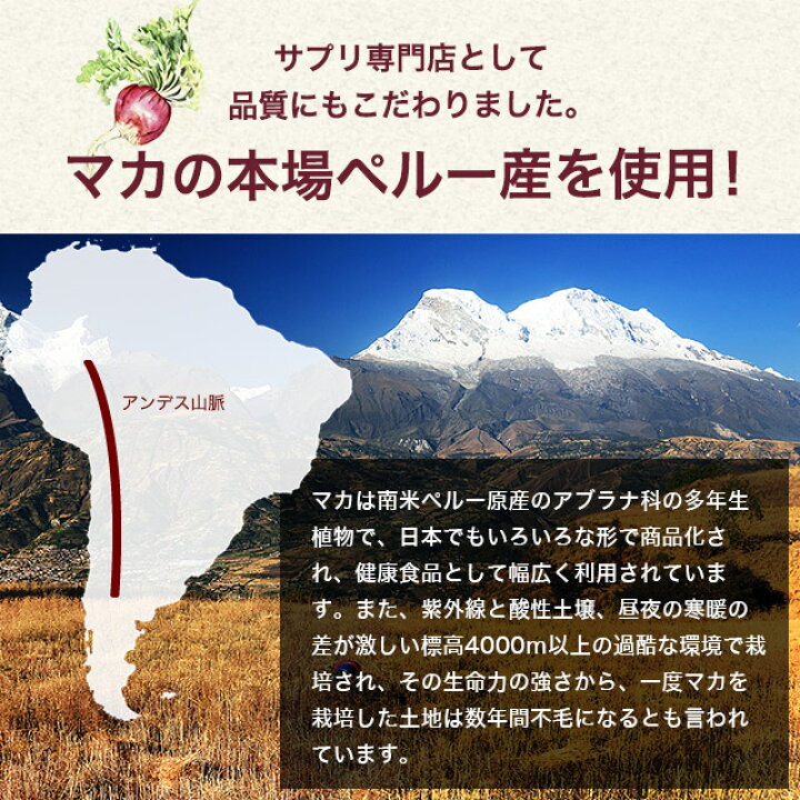 楽天市場 マカ粒 約6ヶ月分 亜鉛 や 葉酸と一緒に 送料無料 植物性 サプリ サプリメント ビタミン ミネラル 鉄 たんぱく質 健康 美容 男性 女性 の元気に スーパーフード オーガランド 口コミ 評判 低価格 半年分 Jh サプリ専門店 オーガランド
