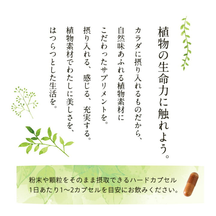 楽天市場】むくMix-ZERO (約12ヶ月分)大容量 美容 サプリ 送料無料 ダイエット サプリメント メリロート L-シトルリン クランベリー アクティブファイバー トコフェロール カリウム 植物性 オーガランド 口コミ 評判 低価格 むくみっくすぜろ ネット 通販 【1年分 ... 楽天市場】むくMix-ZERO (約12ヶ月分)大容量 美容 サプリ 送料無料 ダイエット サプリメント メリロート L-シトルリン クランベリー アクティブファイバー トコフェロール カリウム 植物性 オーガランド 口コミ 評判 低価格 むくみっくすぜろ ネット 通販 【1年分 ...