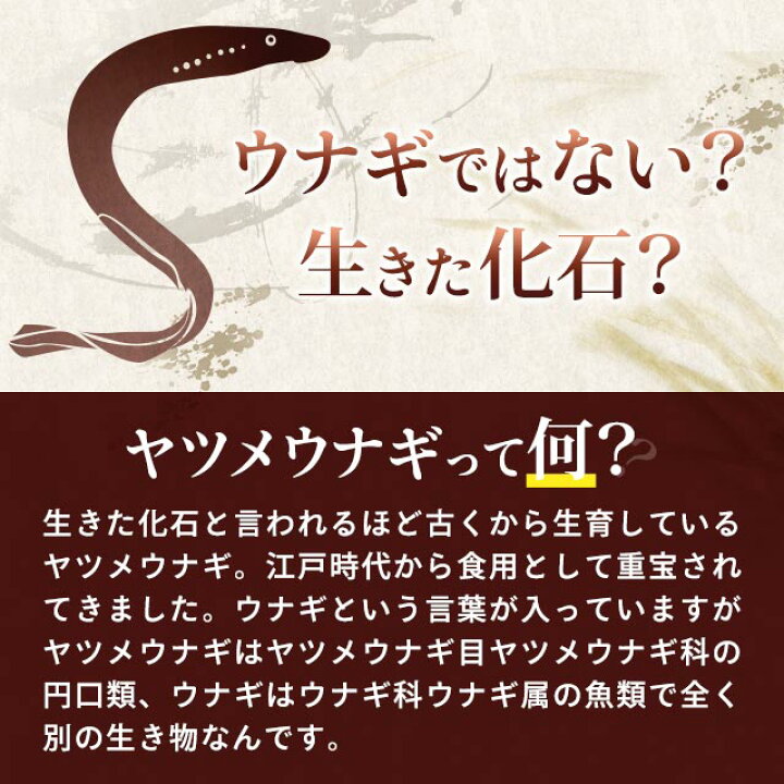 楽天市場 ヤツメウナギ 約1ヶ月分 ビタミン ビタミンa ビタミンb類 ビタミンd ビタミンe 鉄 Dha Epa 送料無料 サプリメント サプリ オーガランド クコの実 やつめうなぎ 乾燥 スタミナ デジタルケア 健康 美容 若々しく Jb Jh サプリ専門店 オーガランド