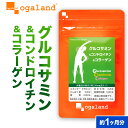 グルコサミン コンドロイチン コラーゲン お試し 約1ヶ月分3つの成分が1粒の中に サプリ サプリメント 魚 フィッシュ …