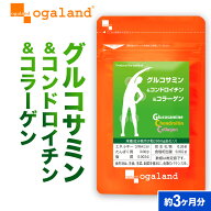 グルコサミン コンドロイチン コラーゲン（約3ヶ月分）送料無料 サプリ サプリメント 魚 フィッシュ コラ…