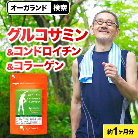 グルコサミン コンドロイチン コラーゲン お試し 約1ヶ月分3つの成分が1粒の中に サプリ サプリメント 魚 フィッシュ コラーゲン2型コラーゲン コンドロイチン ヒアルロン酸 デキストリン オーガランド ポイント消化 ポイント消費