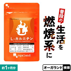 ダイエット サプリ L-カルニチン（約1ヶ月分） 1000円ぽっきり 送料無料 サプリ ダイエット Lカルニチン 配合 BCAA EAA アミノ酸 α-リポ酸 フォルスコリ と併用◎ l-カルニチン フマル酸塩 口コミ 男性 女性 ポイント消化 送料無 ポイント消費 送料無料