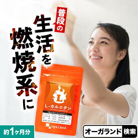 ダイエット サプリ L-カルニチン（約1ヶ月分） 1000円ぽっきり 送料無料 サプリ ダイエット ダイエットサプリ Lカルニチン lカルニチン エルカルニチン BCAA EAA アミノ酸 α-リポ酸 フォルスコリ l-カルニチン フマル酸塩 男性 女性
