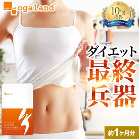 イヌリン配合 コレウス フォルスコリ ダイエットサプリ （約1ヶ月分） 送料無料 ダイエット サプリ 植物性 イヌリン デキストリン 食物繊維 フォルスコリ ダイエットサプリ フォルスコリン オーガランド ポイント消化 送料無料