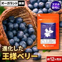 ブルーベリー サプリ （約12ヶ月分） 送料無料 サプリメント ビルベリー アントシアニン ポリフェノールカシス アイブライトエキス クコの実 配合 ルテイン と相性◎ デジタルケア PC スマホ 健康食品 オーガランド _JB_JH ポイント消化 送料無 ポイント消費 送料無料