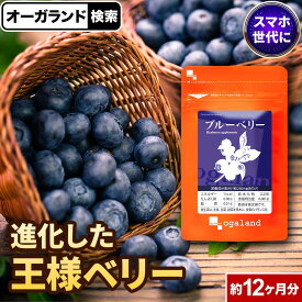 ブルーベリー サプリ （約12ヶ月分） 送料無料 サプリメント ビルベリー アントシアニン ポリフェノールカシス アイブライトエキス クコの実 配合 ルテイン と相性◎ デジタルケア PC スマホ 健康食品 オーガランド _JB_JH ポイント消化 送料無 ポイント消費 送料無料