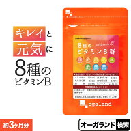 8種のビタミンB群（約3ヶ月分）送料無料 サプリメント サプリ 葉酸 ビオチン ナイアシン パントテン酸 マ…