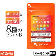 8種のビタミンB群（約12ヶ月分） 送料無料 ビタミン サプリ 葉酸 ビオチン ナイアシン パントテン酸 オー…