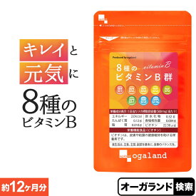 8種のビタミンB群（約12ヶ月分） 送料無料 ビタミン サプリ 葉酸 ビオチン ナイアシン パントテン酸 オーガランド 健康 美容 女性 食事 で 不足 ビタミン B1 B2 B6 B12 カルシウム 葉酸 ポイント消化 送料無 ポイント消費 送料無料
