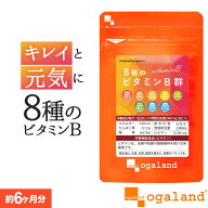 8種のビタミンB群（約6ヶ月分）ビタミンb ビタミンb1 ビタミンb2 送料無料 サプリメント サプリ 葉酸 ビ…
