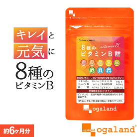 8種のビタミンB群（約6ヶ月分）ビタミンb ビタミンb1 ビタミンb2 送料無料 サプリメント サプリ 葉酸 ビオチン ナイアシン パントテン酸 オーガランド 健康 美容 女性 栄養 ビタミン B1 B2 B6 カルシウム 葉酸 ポイント消費 送料無料