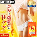 燃焼系 ダイエット サプリ α-リポ酸（約3ヶ月分）低価格 送料無料 ダイエット サプリ αリポ酸 糖質 脂質 エネルギー 変換 燃焼系サイクル を助ける ダイエット の結果が出ない方や 美容 におすすめな ダイエットサプリ 口コミ 評判 オーガランド