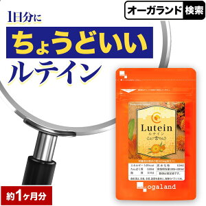 _yV1ʁ^eC i1jTv Tvg u[x[  JVX Ƃ̕p r^~A OXmL y fW^PA u[Cg }[S[ho fLXg