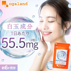 【新商品】 白玉姫（約6ヶ月分）酵母エキス末 サプリ サプリメント システイン システインペプチド 美容 インナーケア 話題の成分 酵母エキス オーガランド 女性 白玉 グリシン グルタミン酸 アミノ酸 送料無料 ポイント消化 送料無 ポイント消費 送料無料