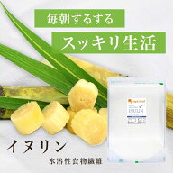 【楽天1位】 イヌリン 500g サトウキビ由来 イヌリンパウダー イヌリン 粉末 イヌリン 500g イヌリン 国…