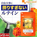 ルテイン （約12ヶ月分）送料無料 サプリ サプリメント ブルーベリー や カシス との併用◎ ビタミンA メグスリノキ …