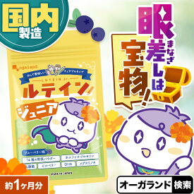 ルテイン ジュニア （約1ヶ月分） 子ども用サプリメント 子供用 子ども用 子ども サプリ キッズ サプリメント ブルーベリー味 野菜 栄養 メグスリノキ デジタルケア ブルーライト 自然由来 DHA ポイント消化 送料無 ポイント消費 送料無料