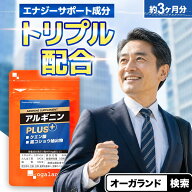 【ポイント10倍】【増量リニューアル】アルギニン カプセル（約3ヶ月分） アミノ酸 クエン酸 サプリ サプ…