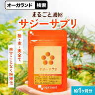 【24H限定セール!!】【リニューアル】サジーサプリ（約1ヶ月分）ビタミン 鉄分 送料無料 オーガランド サ…