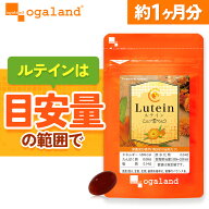 ＼楽天1位／ルテイン （約1ヶ月分） サプリ サプリメント ゼアキサンチン ブルーベリー カシス ビタミンA…