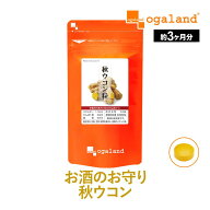 秋ウコン 粒（約3ヶ月分） 送料無料 サプリ サプリメント オーガランド うこん ウコン クルクミン 春ウコ…