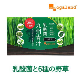 ＼楽天1位獲得／ 乳酸菌 青汁 (30包) 送料無料 青汁 乳酸菌 野菜不足 青汁 粉末 ドリンク あおじる 大麦若葉 ケール ハチミツや牛乳と一緒に ゴーヤ 個包装 国産 ビタミン ミネラル 葉酸 オリゴ糖 乳酸菌九州青汁 ポイント消化 ポイント消費 送料無料