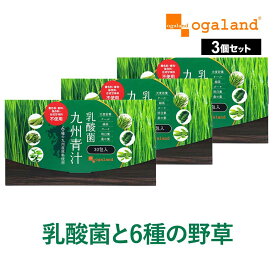 乳酸菌 九州 青汁 （30包・3個セット）送料無料 野菜不足 青汁ドリンク あおじる 大麦若葉 ケール ハチミツや牛乳と一緒に ゴーヤ 個包装 国産 ビタミン ミネラル 葉酸 オリゴ糖 _JB_JD_JH_JT ポイント消化 送料無 ポイント消費 送料無料