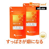 【ポイント10倍】梅肉クエン酸 ビタミン&ミネラル（約6ヶ月分）送料無料 クエン酸 配合 梅肉エキス 粒 鉄…