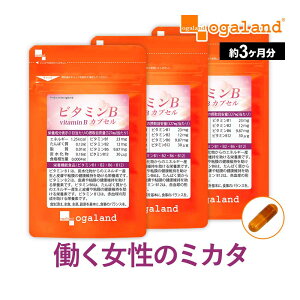 �r�^�~��B �J�v�Z���i��3�������j�������� �t�_ �r�^�~��B12 �r�^�~��B2 �r�^�~��B1 �r�^�~��M �C�m�V�g�[�� �z�� �r�^�~�� �T�v�� �T�v�������g �L���C �� ���N �̃x�[�X�A�b�v�ɁI ���e�P�A 