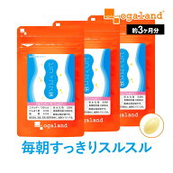 お得な90日分！ ビフィズス菌 サプリ（約3ヶ月分） ビフィズス菌 乳酸菌 サプリ 酪酸菌 酢酸 オリゴ糖 善…