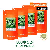 ブロッコリースプラウト スルフォラファン サプリ（約12ヶ月分）送料無料 ダイエット サプリメント ブロ…