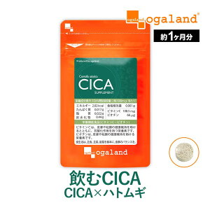 CICAi1j Tvg e c{NTGLX ngMGLX ͂Ƃނ rI` R[Q r^~C  VJ Y ϐ CICA pbN  N[  y I[K